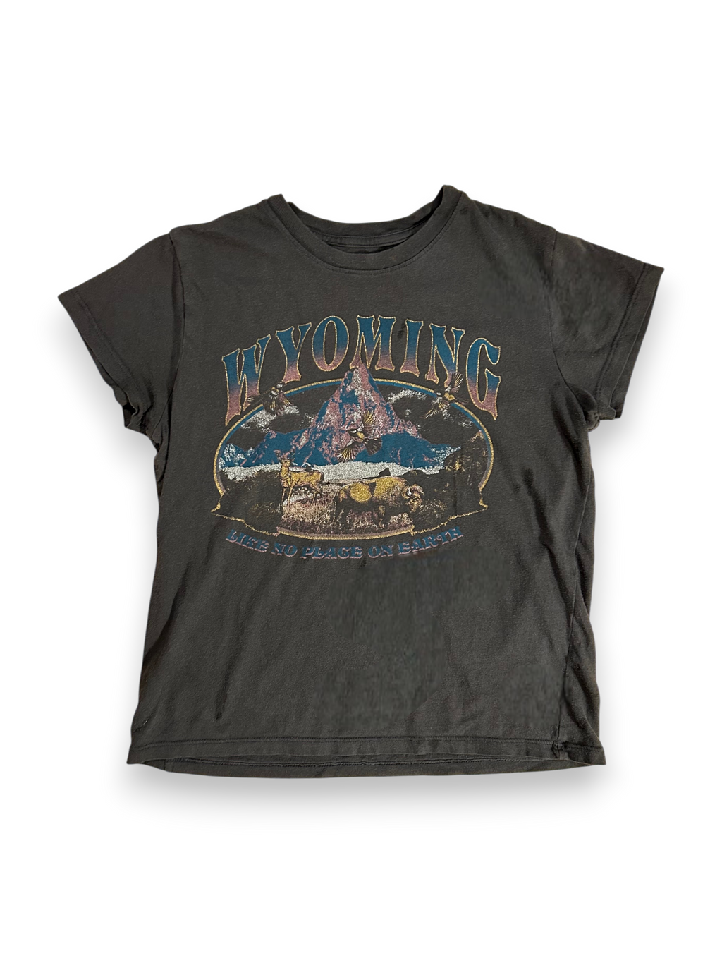 Wyoming - Baby Tee